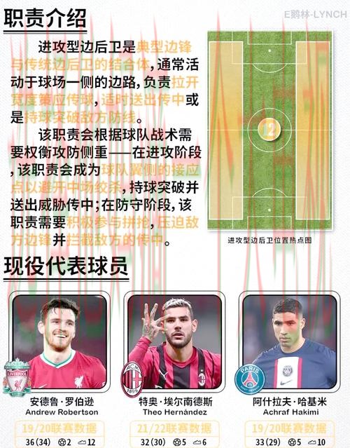 半岛体育综合版全方位解析